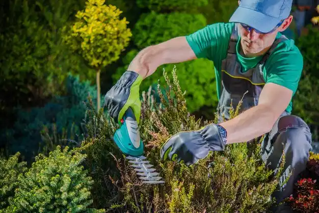 landscaping services West Carthage